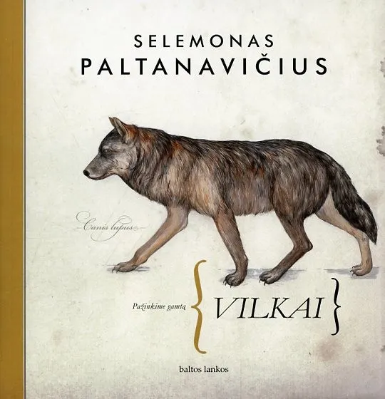 Pažinkime gamtą. Vilkai