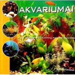 Akvariumai: kaip sukurti svajonių namus žuvims