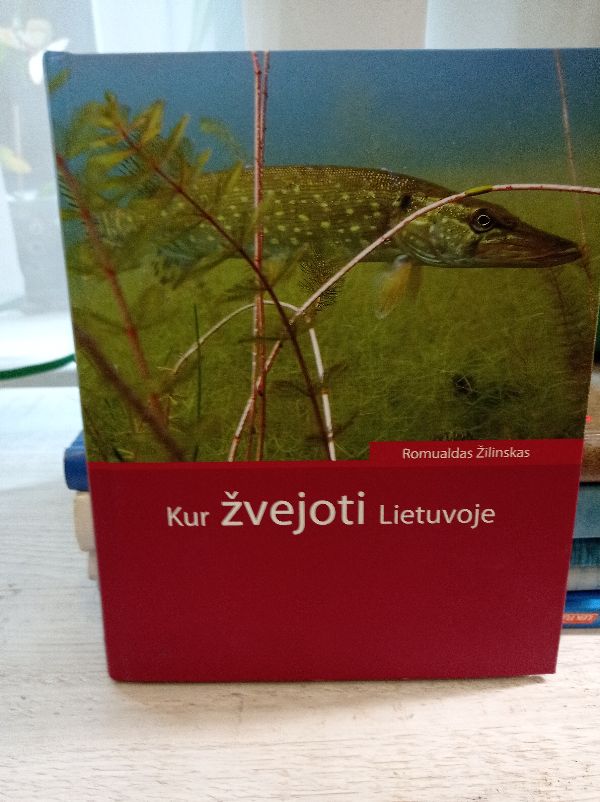 Kur žvejoti Lietuvoje