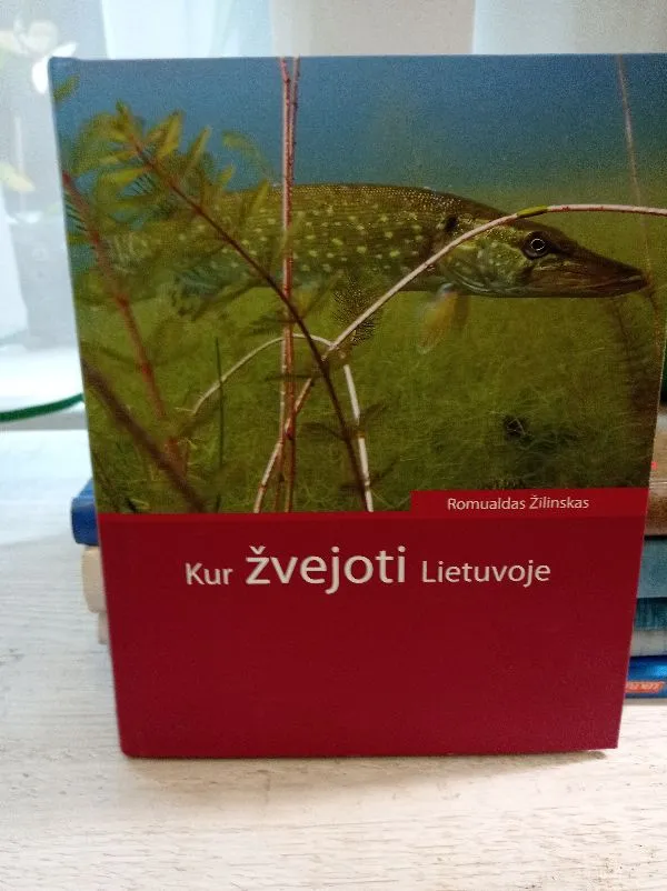 Kur žvejoti Lietuvoje