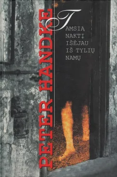 Tamsią naktį išėjau iš tylių namų
