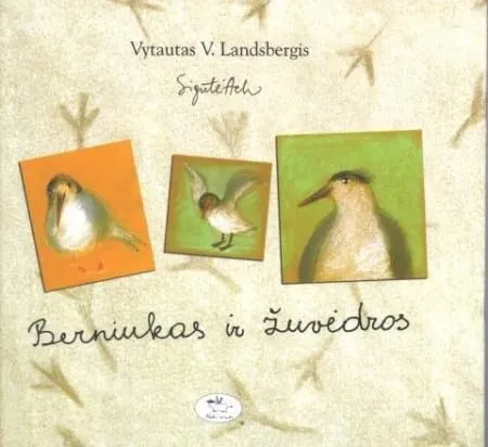 Berniukas ir žuvėdros (Sigutės Ach iliustracijos)