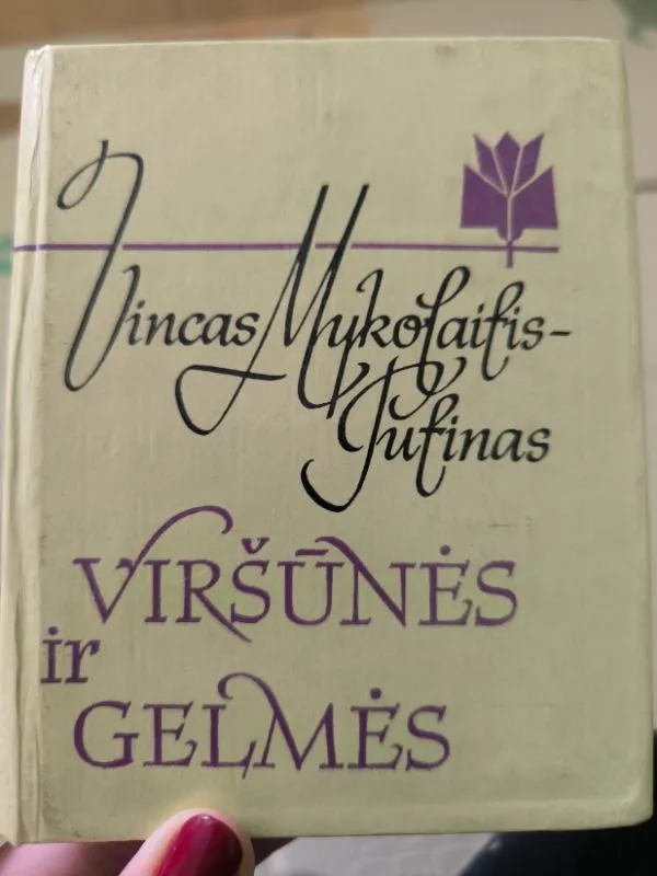 Viršūnės ir gelmės