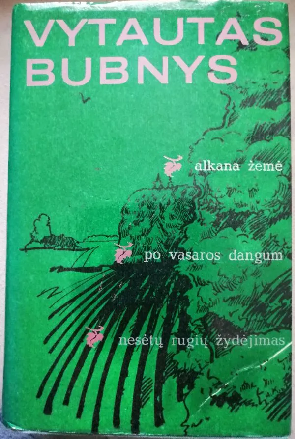 Alkana žemė. Po vasaros dangum. Nesėtų rugių žydėjimas.