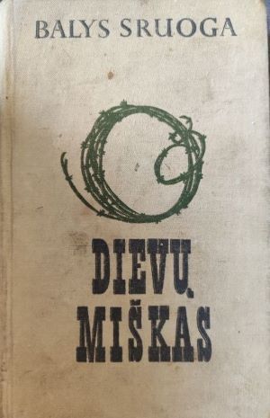 Dievų miškas