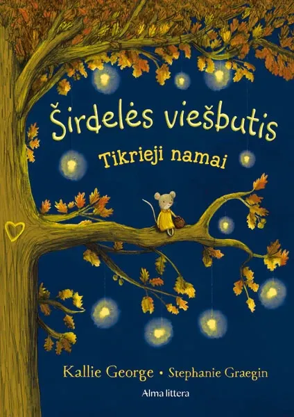 Širdelės viešbutis. Tikrieji namai