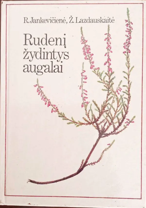 Rudenį žydintys augalai