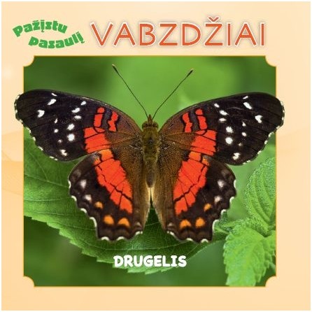 VABZDŽIAI. Pažįstu pasaulį