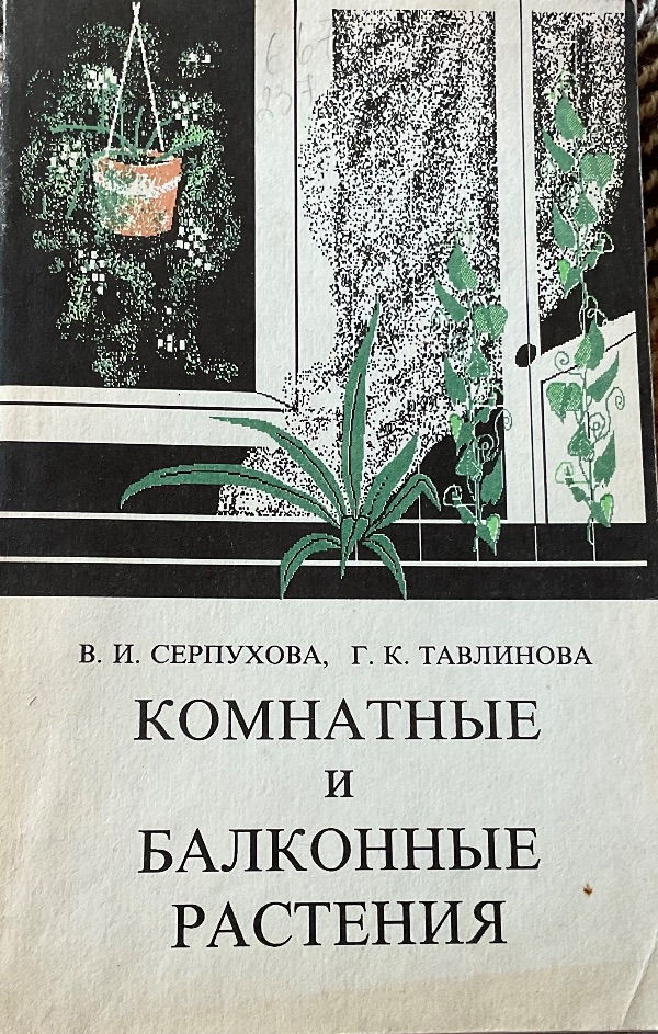 Комнатные и балконные растения