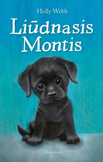 Liūdnasis Montis
