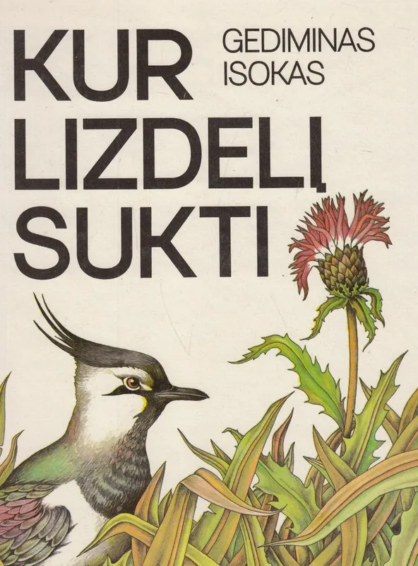 Kur lizdelį sukti