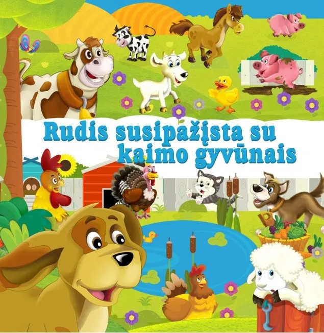 Rudis susipažįsta su kaimo gyvūnais