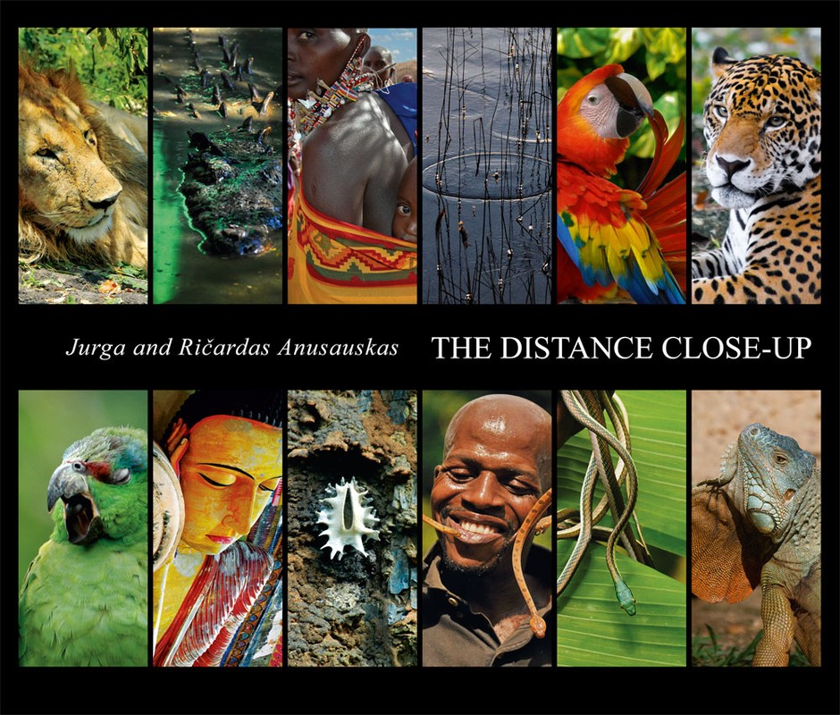The distance close up