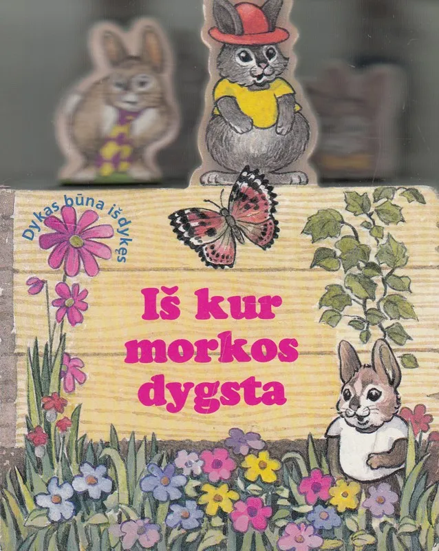 Iš kur morkos dygsta