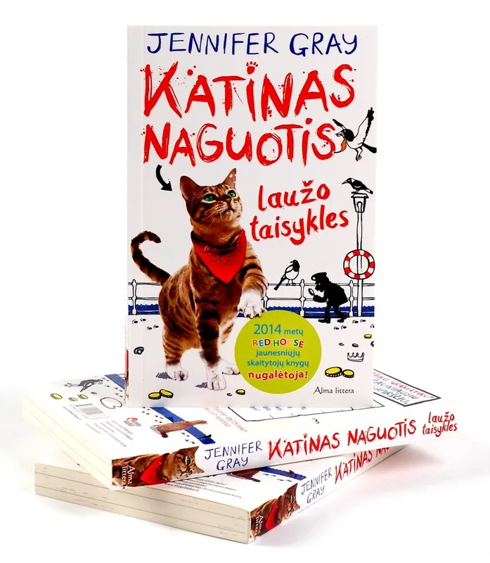Katinas Naguotis laužo taisykles
