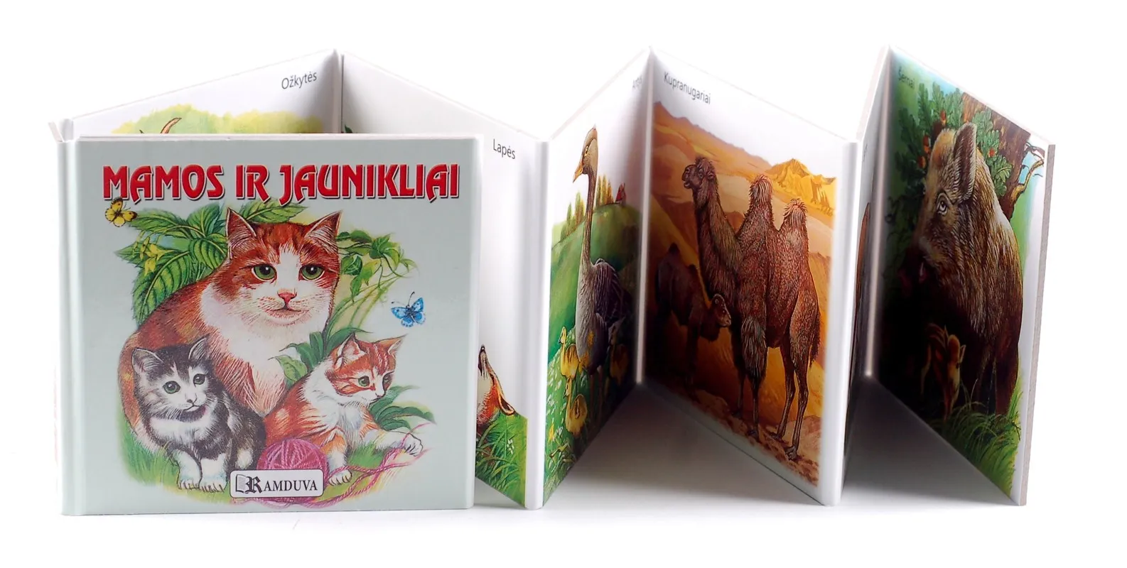 Mamos ir jaunikliai. Išlankstoma knygelė