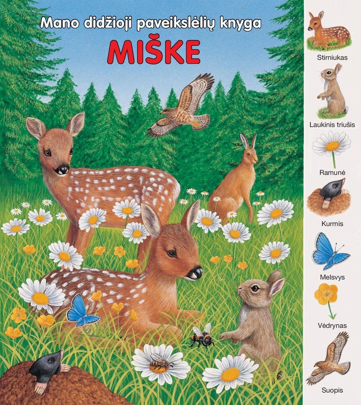 Mano didžioji paveikslėlių knyga. Miške