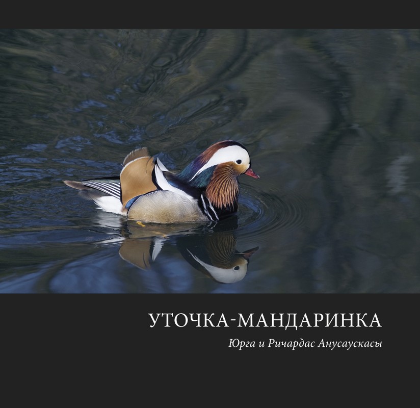 Уточка-мандаринка
