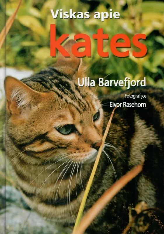 Viskas apie kates (2005)