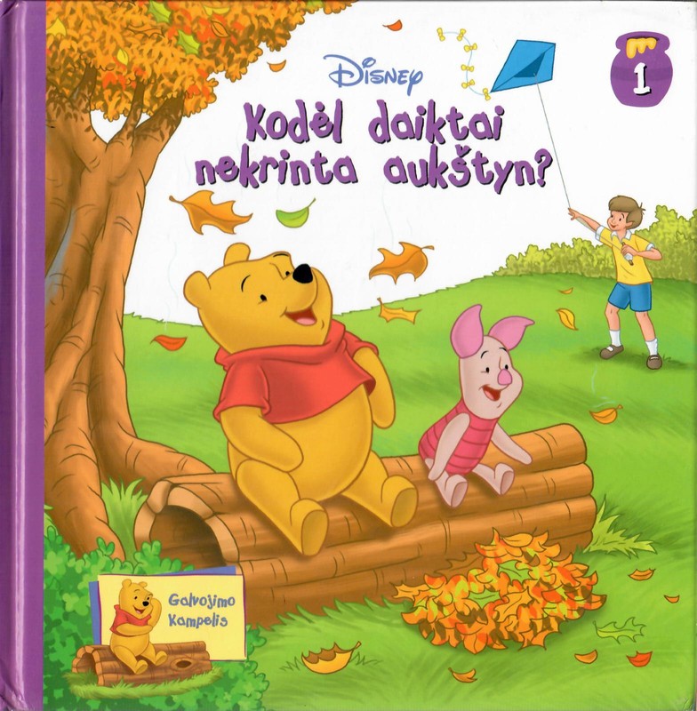 Kodėl daiktai nekrinta aukštyn? Galvojimo kampelis