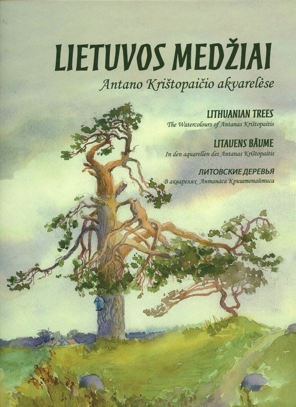 Lietuvos medžiai Antano Krištopaičio akvarelėse