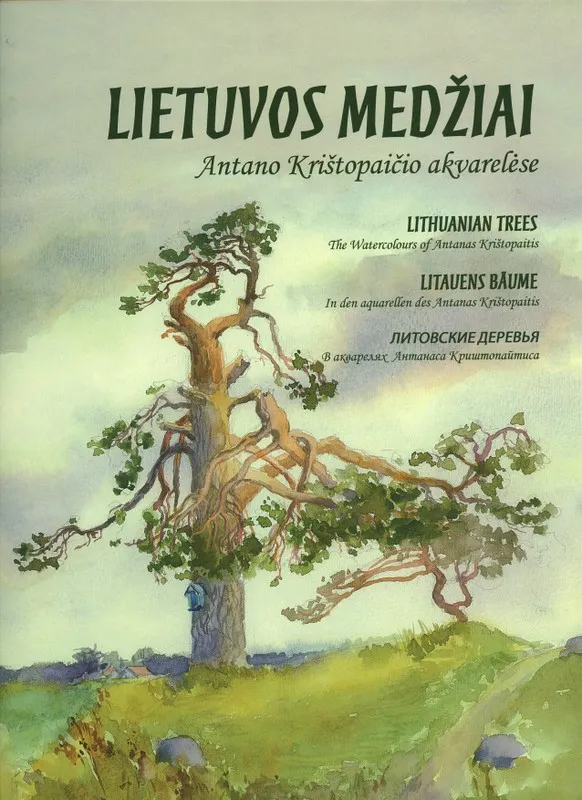 Lietuvos medžiai Antano Krištopaičio akvarelėse
