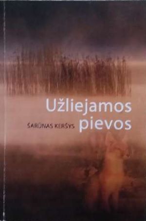 Užliejamos pievos