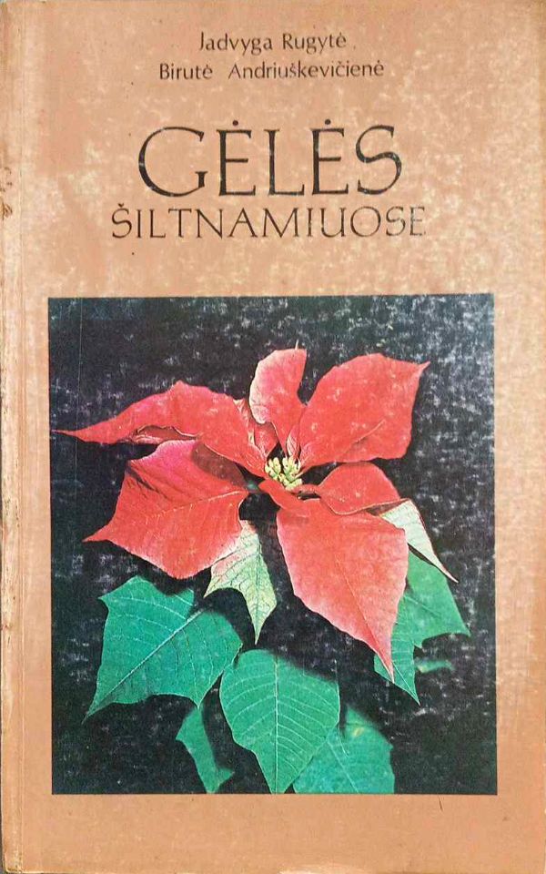 Gėlės šiltnamiuose