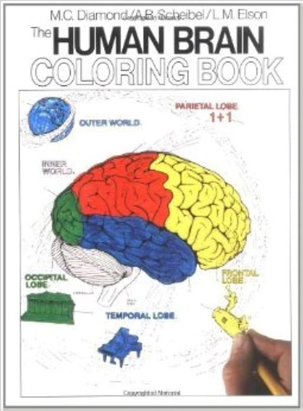 The Human Brain Coloring Book