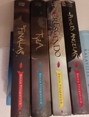 Ciklas “Puolęs angelas” (4 knygos)