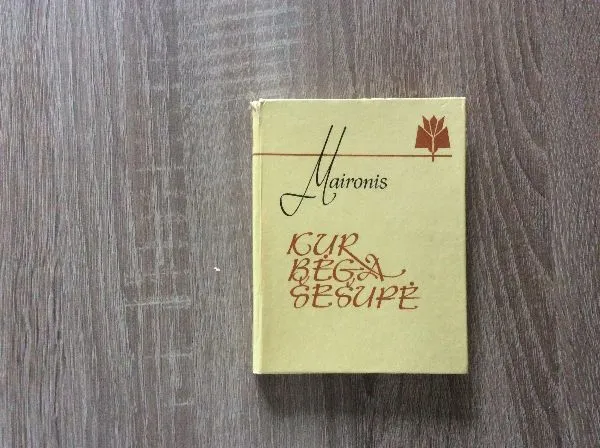 Kur bėga Šešupė
