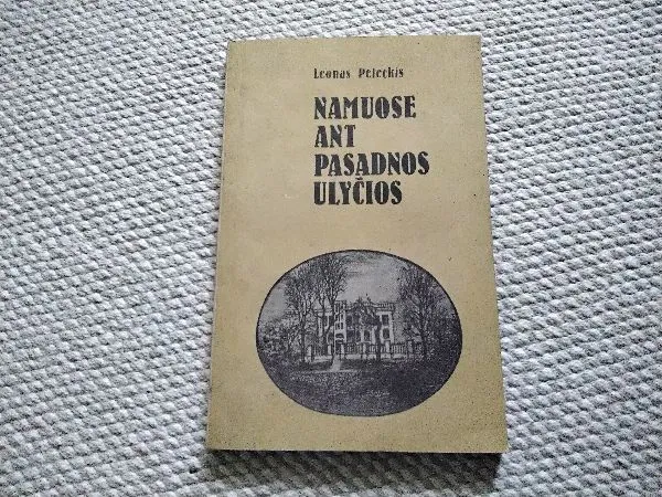 Namuose ant pasadnos ulyčios