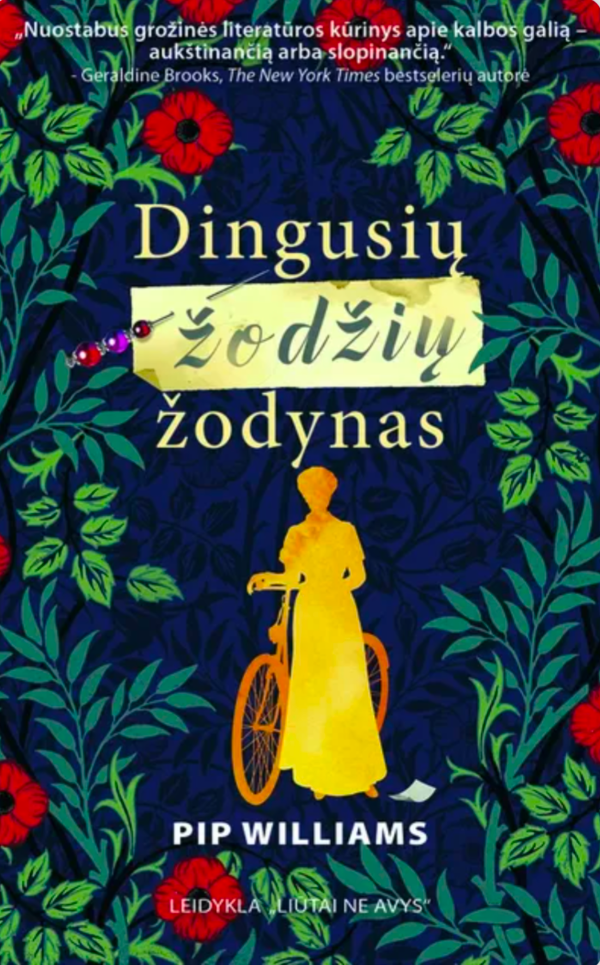 Dingusių žodžių žodynas