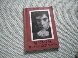 Vladimiras, arba nutrūkęs skrydis