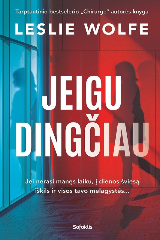 Jeigu dingčiau. Tarptautinio bestselerio „Chirurgė“ autorės knyga
