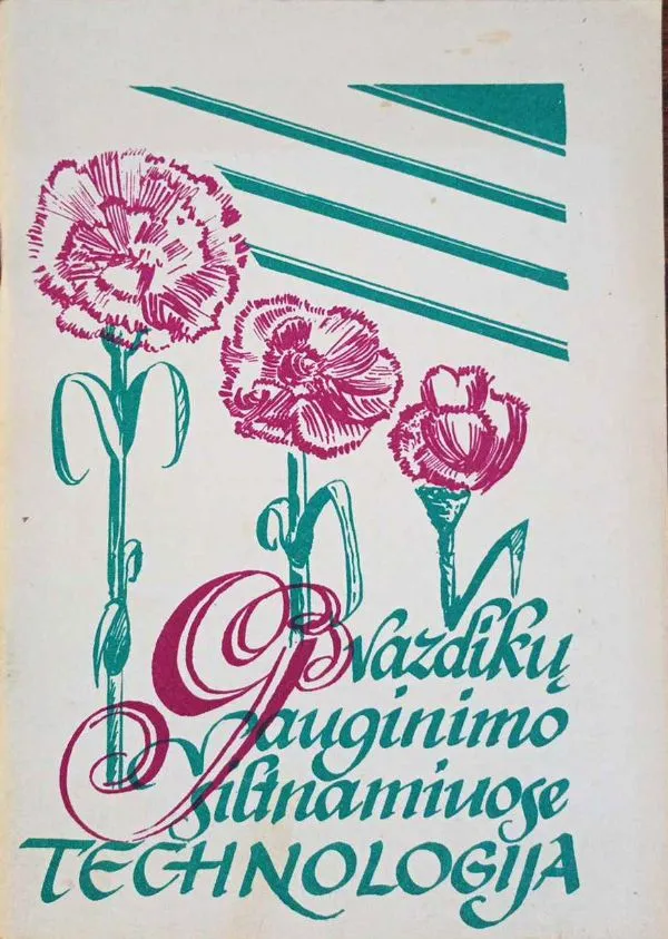 Gvazdikų auginimo šiltnamiuose technologija