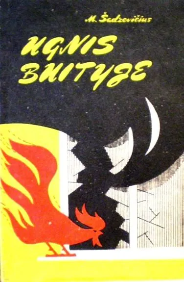 Ugnis buityje