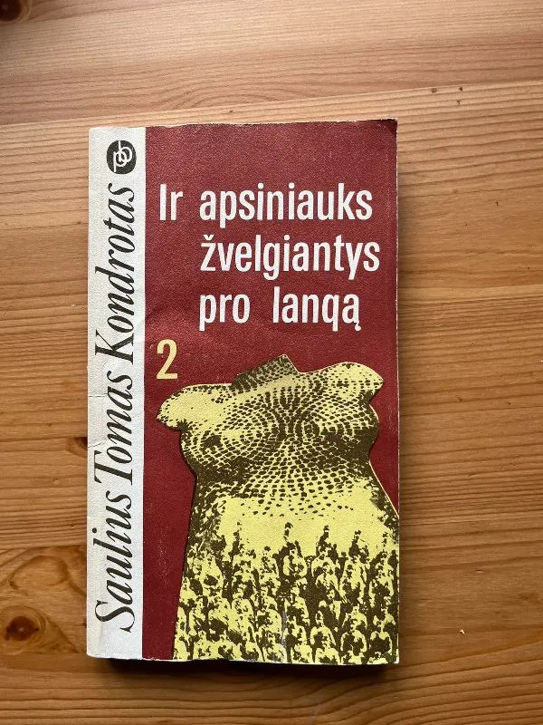 Ir apsiniauks žvelgiantys pro langą 2