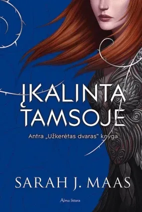Įkalinta tamsoje. 2 „Užkerėtas dvaras“ knyga