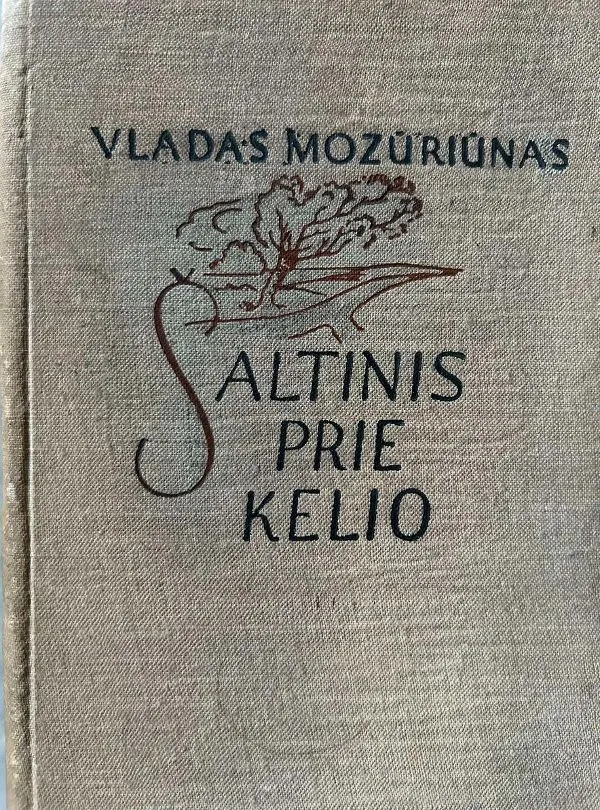 Šaltinis prie kelio