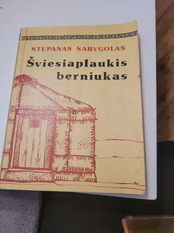 Šviesiaplaukis berniukas