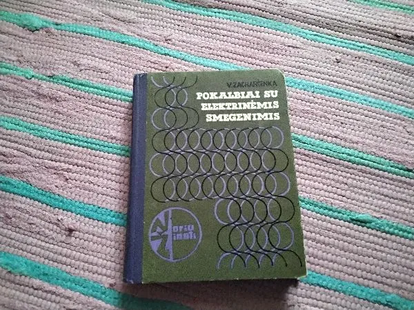 Pokalbiai su elektrinėmis smegenimis
