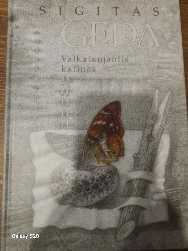 Valkataujantis katinas