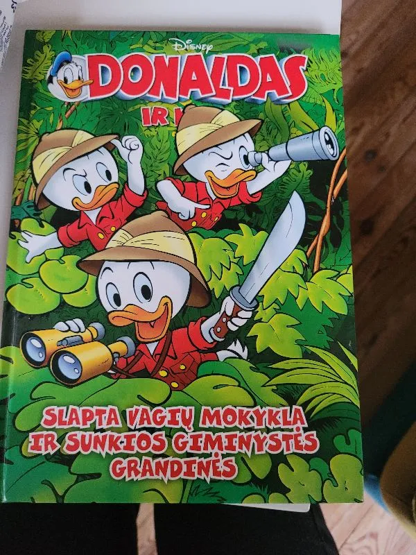 Donaldas ir kiti slapta vagių mokykla ir sunkios giminystės grandinės