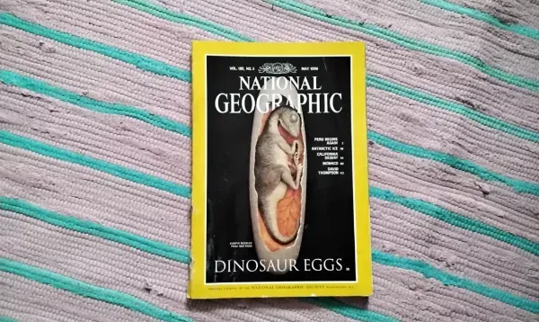 NATIONAL GEOGRAPHIC  DINOSAUR EGGS 1996/5