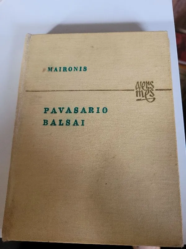 PAVASARIO BALSAI