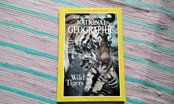 NATIONAL GEOGRAPHIC Wild Tigers 1997/6