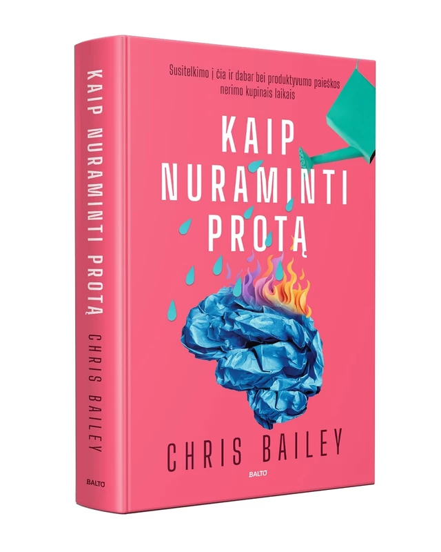 KAIP NURAMINTI PROTĄ