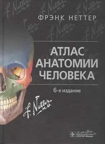 Атлас анатомии человека Неттер Фрэнк