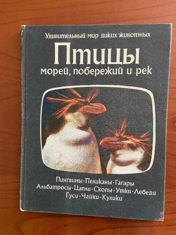 Paukščiai jūrų,pakrančių ir upių